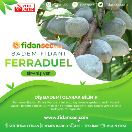 5 Adet Ferraduel Tüplü Badem Fidanı - Aşılı & Sertifikalı (TOZLAYICI)