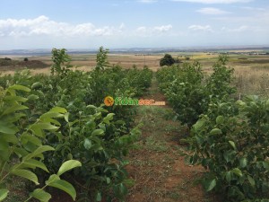 Toprak Örneği Formu