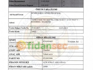 Mavi Sertifika Ve Standart Sertifika Arasındaki Farklar ?